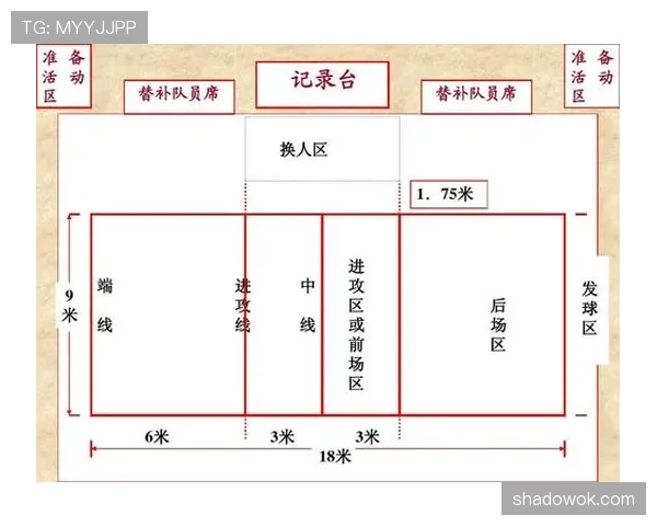 深入解析篮球比赛中推人犯规的规则与裁判判罚 深入解析篮球比赛中推人犯规的规则与裁判判罚